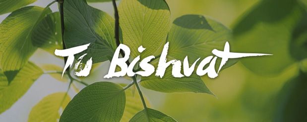 T”U Bishvat, fiesta ecológica llamada “el Año Nuevo de los Árboles”